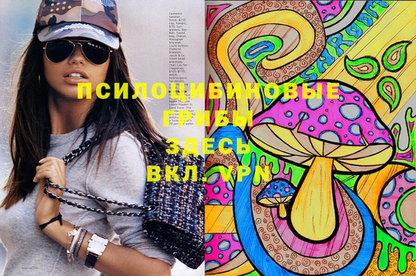 дживик Ростов