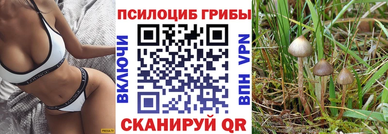 Псилоцибиновые грибы Magic Shrooms  продажа наркотиков  Крымск 